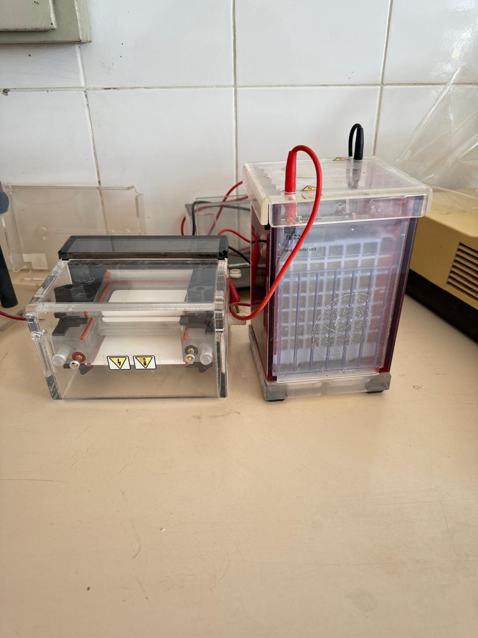 Vertical Electrophoresis cell